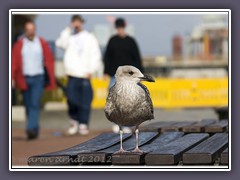 Urlaubscity Bremerhaven