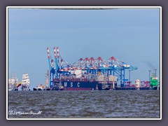 Einlaufparade zur Sail Bremerhaven 2015