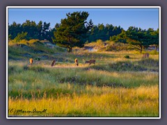 Natur pur
