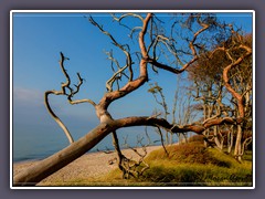 Prerow Weststrand