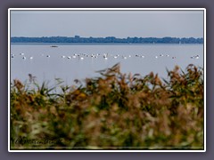 Romantik am Bodden