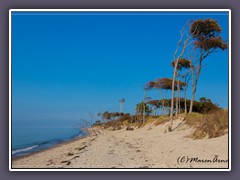 Windflüchter