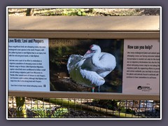 Eine berührende Geschichte - der Park kümmert sich überwiegend um verletze Fundtiere