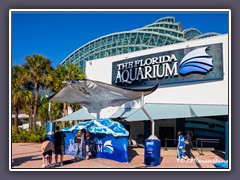 Tampa Aquarium