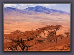 Tanzania - Serengeti