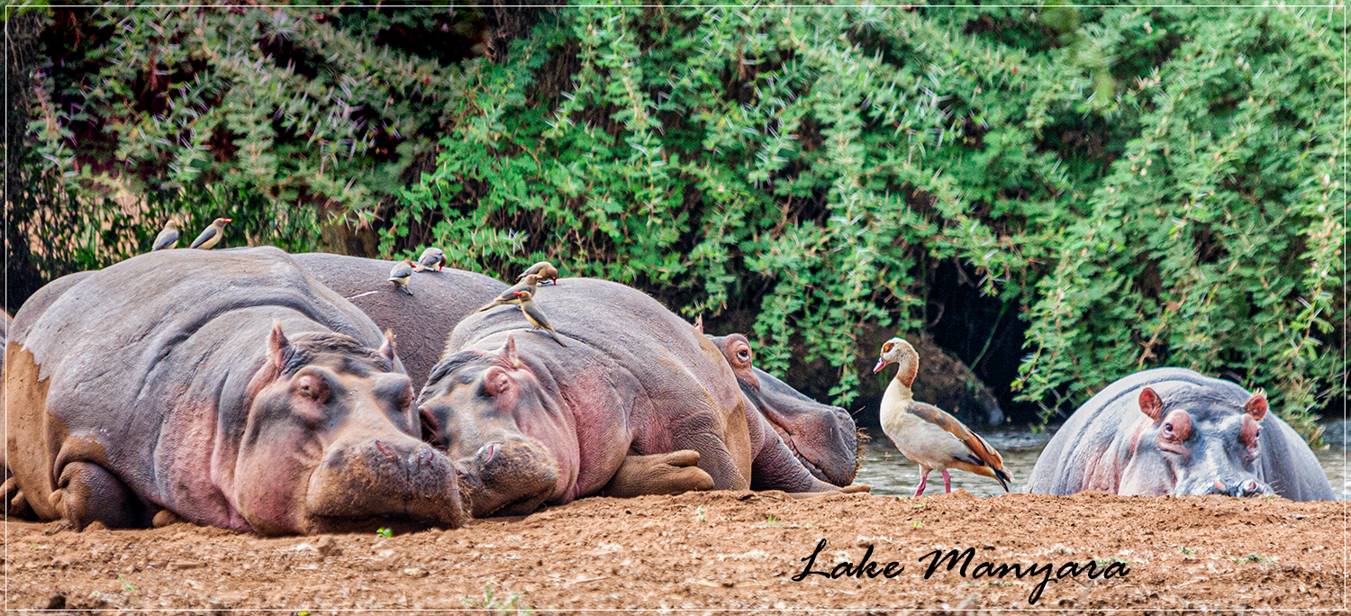 Lake Manyara