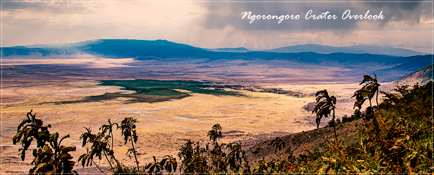 Ngorongoro Crater