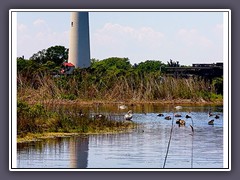 Cape May Lighthouse