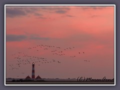 Gänse fliegen vorbei am Leuchtturm Westerhever