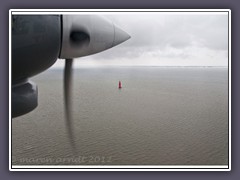 Robbenplate in der Nordsee