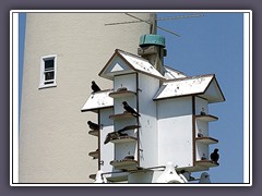 Schwalbenhaus am Cape May Lighthouse