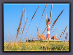 Westerhever aus der Grasperspektive