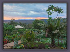 Garten der Tloma Lodge