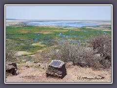 Hot Spring am Lake Manyara