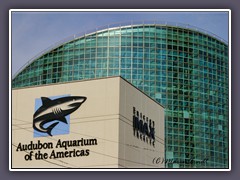 Audubon Aquarium of the Americas am Riverwalk
