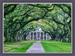 Outside New Orleans - Tiefer Süden - Oak Alley Plantation