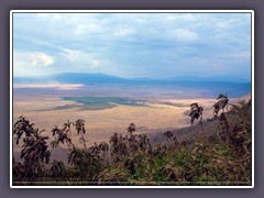 Ngorongoro Krater