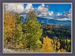 Espen im Herbstlicht - Highway 550 Colorado