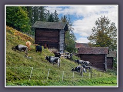 Tschiertschen - Kanton Graubünden 