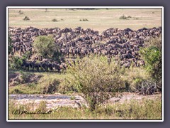 Am Mara River 