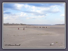 Im Herbst herrscht Trockenheit in der Süd Serengeti