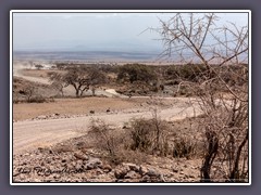 Serengeti Ebene - weites Land