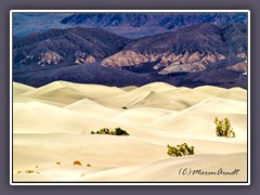 Death Valley - Mesquite Dunes