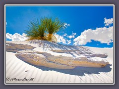 White Sands ist ein südwestlich von Alamogordo gelegenes Naturschutzgebiet nördllich der Chihuahua-Wüste.