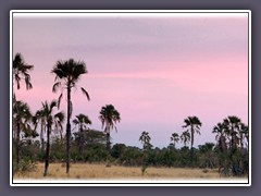 Abendstimmung im Maramboi Tented Camp