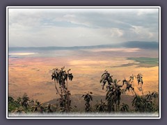 Ngorongoro Crater