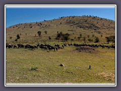 Serengeti Nord Impression