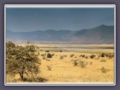 Staubwolken im Ngorongoro Krater 