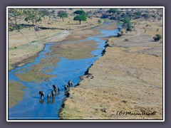 Elefanten im Fluss