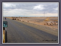 Unterwegs zum Tarangire National Park