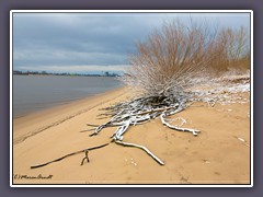 Harriersand - Winterstrand