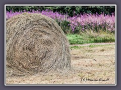 Landwirtschaft - Heuernte