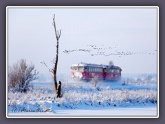 Moorexpress - der Winterzug