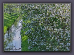 Oste-Hamme-Kanal - Frühling