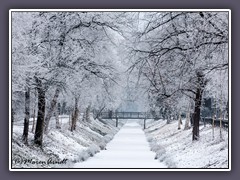 Oste-Hamme-Kanal - Winter