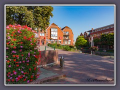 Osterholz Scharmbeck  - sommerlich bunt