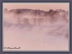 Sonnenaufgang - Frühnebel über der Hamme