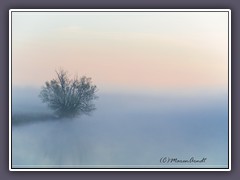 Sonnenaufgang - im dichten Morgennebel