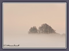 Sonnenaufgang - Morgennebel