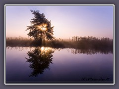 Sonnenaufgang - mystisches Licht