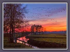 Sonnenuntergang - an der Kolbeck