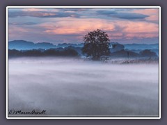 Sonnenuntergang - und aus den Wiesen steigt weisser Nebel