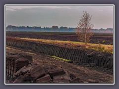 Torfabbau - verwüstete Landschaft