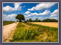 Wege ins Moor - Hammeweg bei Neu Helgoland