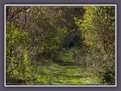 Wege ins Moor - Huvenhoopsmoor