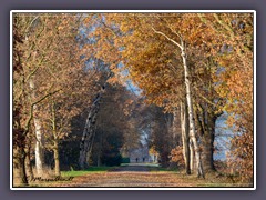 Wege ins Moor - Weyermoorerstraße